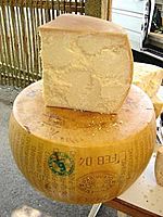 parmesan cheese